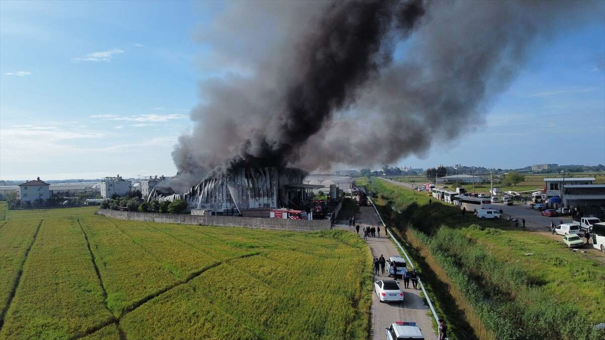 Patates cipsi fabrikasında korkutan yangın! Kullanılamaz hale geldi 1